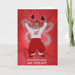 Love Bug Holiday Card