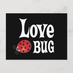 Love Bug - Ladybug Postcard