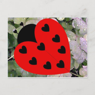 Love Bug Postcard