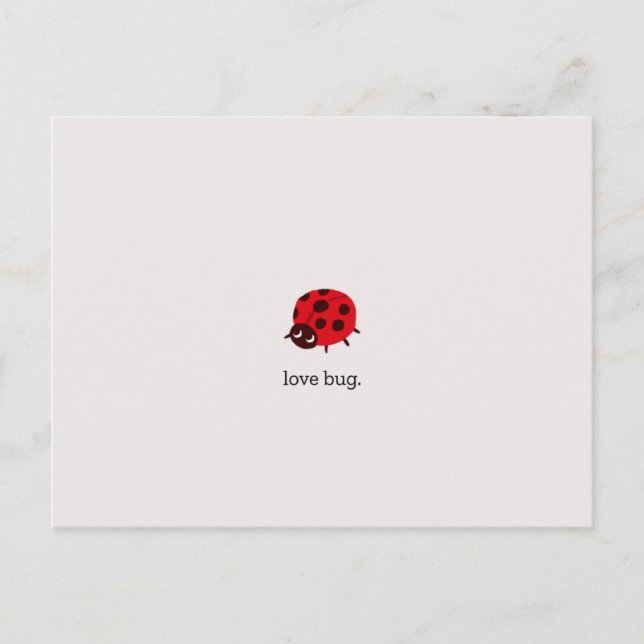 Love Bug Postcard (Front)