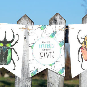 Love Bugs Birthday Party Bunting