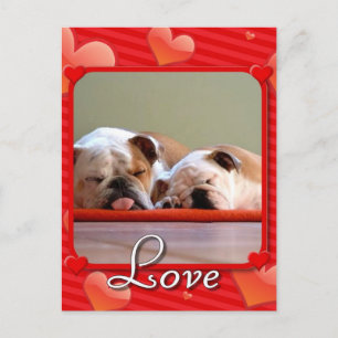 Love Bulldogs postcard