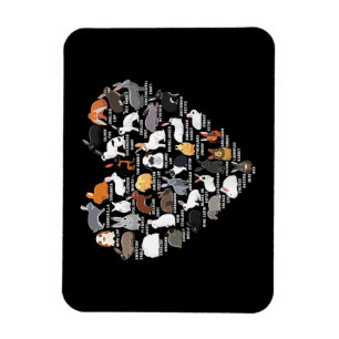 Love Bunnies Funny Rabbit Heart  Magnet