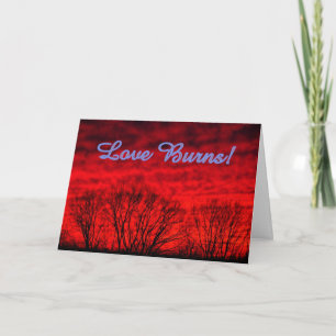 Love Burn's Valentine's Day Card