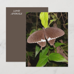 LOVE BUTTERFLY GIFT FOR ANYONE CARD