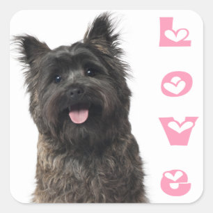 Love Cairn Terrier Puppy Dog Pink Hearts Stickers