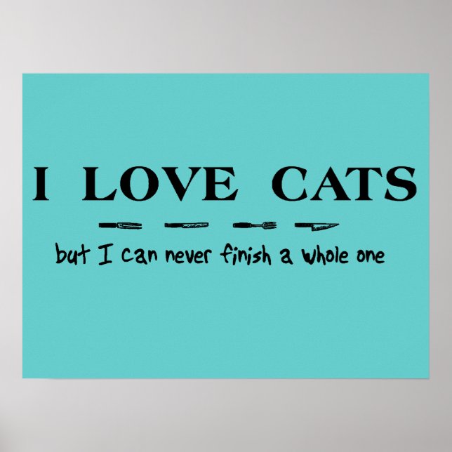 Love Cats Can Never Finish Whole One Funny Poster (Front)