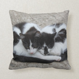 Love Cats Pillow