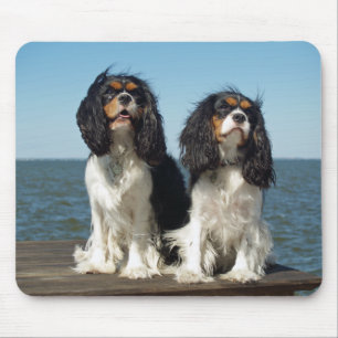Love Cavalier King Charles Spaniel Puppy Mousepad