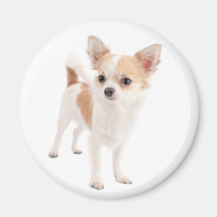 Love Chihuahua Puppy Dog Fridge Magnet