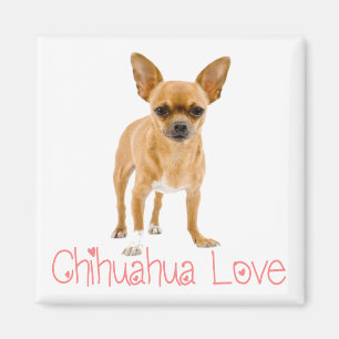 Love Chihuahua Puppy Dog Fridge Magnet