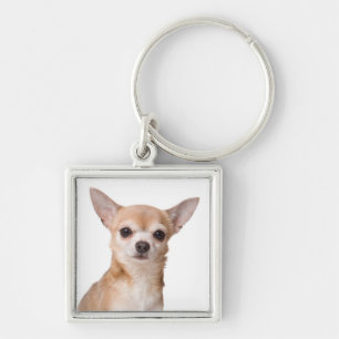 Love Chihuahua Puppy Dog Key Ring