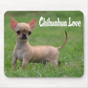 Love Chihuahua Puppy Dog Mouse Pad