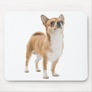 Love Chihuahua Puppy Dog Mouse Pad