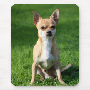 Love Chihuahua Puppy Dog Mouse Pad