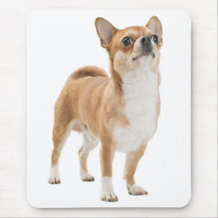 Love Chihuahua Puppy Dog Mousepad
