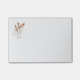 Love Chihuahua Puppy Dog Post IT Sticky Notes