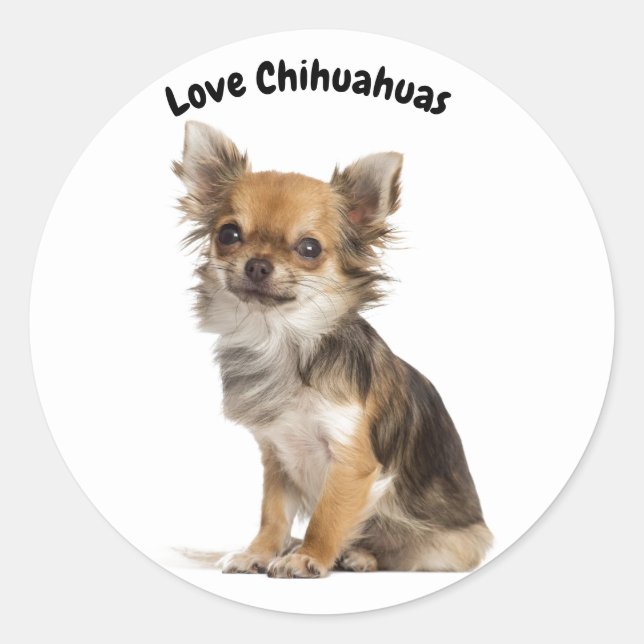 Love Chihuahuas Classic Round Sticker (Front)