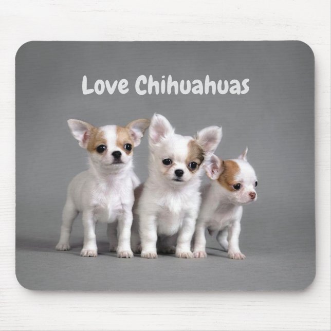 Love Chihuahuas Mouse Pad (Front)