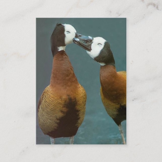Love Coach Therapist Loving Ducks - Two Sided Business Card (Front)