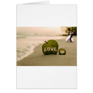 Love Coast Loving