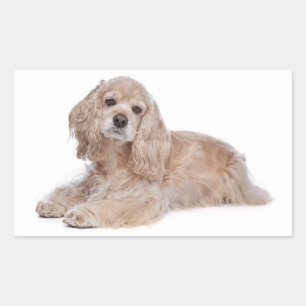 Love Cocker Spaniel Puppy Dog Stickers