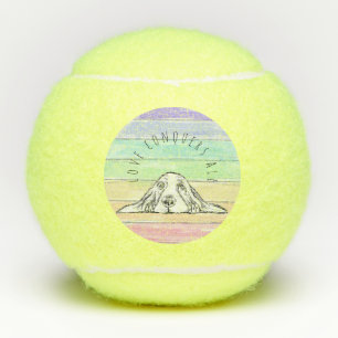 love conquers all dog rainbow basset hound me tennis balls