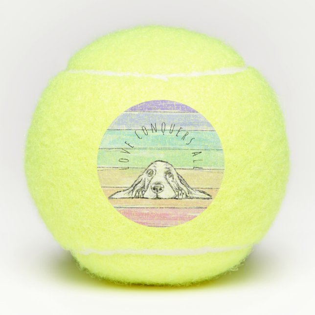 love conquers all dog rainbow basset hound   me tennis balls (Front)