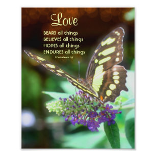 Love Corinthians 13:7 Butterfly Bible Quote 8x10 Photo Print