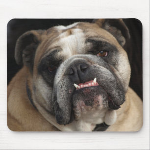 Love Cute English Bulldog Puppy Dog  Mousepad