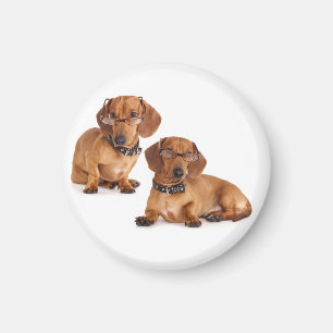 Love Dachshund Puppy Dog Fridge Magnet
