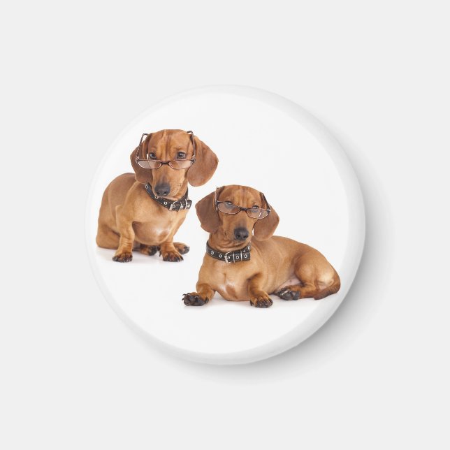Love Dachshund Puppy Dog Fridge Magnet (Front)