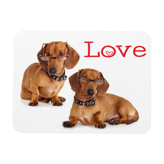 Love Dachshund Puppy Dog Fridge Magnet (Horizontal)