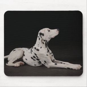 Love Dalmatian Puppy Dog Black Mousepad