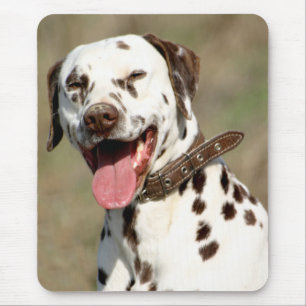 Love Dalmatian Puppy Dog Mousepad
