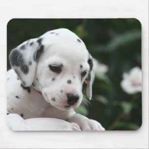 Love Dalmatian Puppy Dog Mousepad