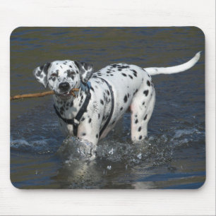 Love Dalmatian Puppy Dog Mousepad
