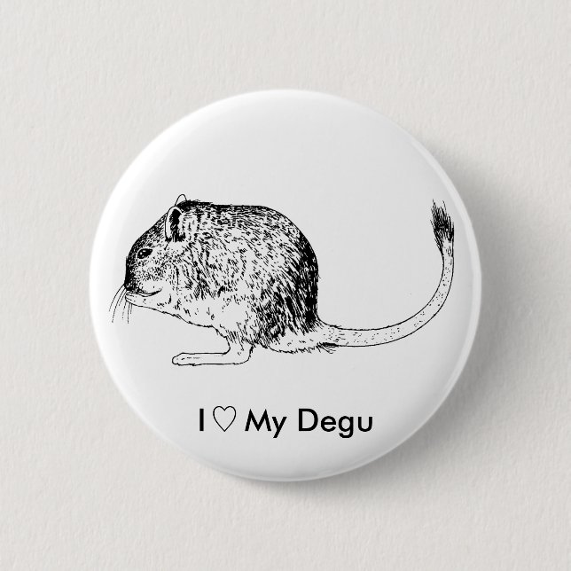Love Degus - Pins (Front)