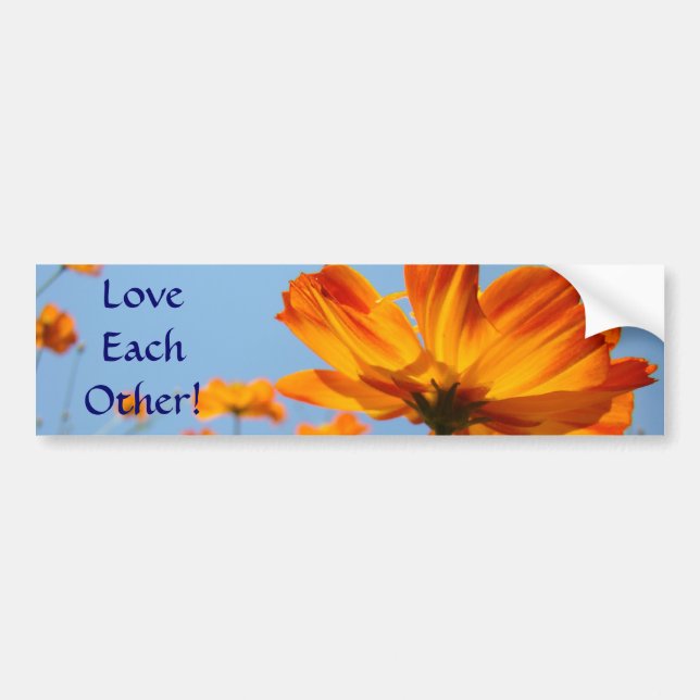 Love Each Other! bumper sticker Daisy Flowers (Front)