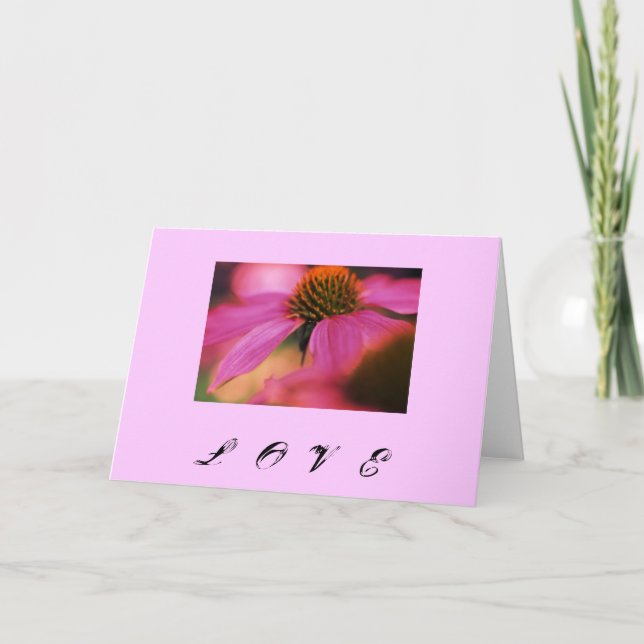 "Love Echinacea" Holiday Card (Front)