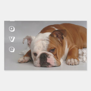 Love English Bulldog Puppy Dog Greeting Sticker