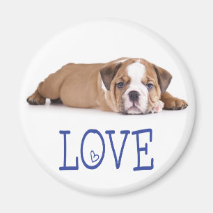 Love English Bulldog Puppy Dog Magnet
