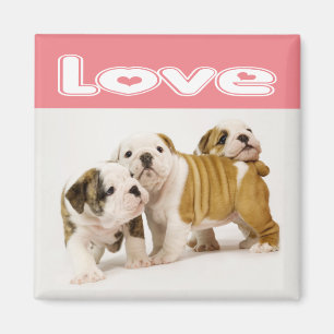 Love English Bulldog Puppy Dog Magnet