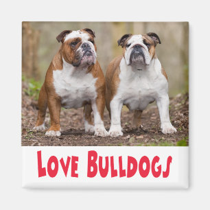 Love English Bulldog Puppy Dog Magnet