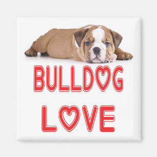 Love English Bulldog Puppy Dog Magnet