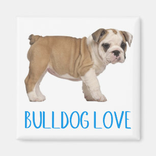 Love English Bulldog Puppy Dog Magnet