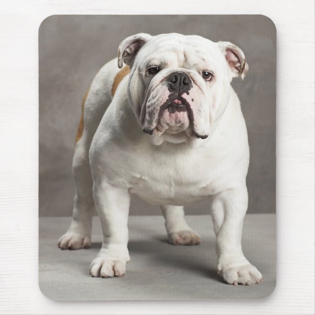 Love English Bulldog Puppy Dog Mousepad (Front)