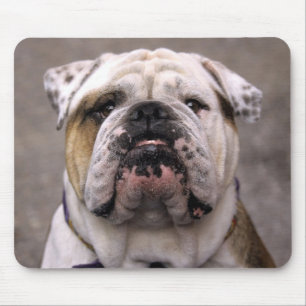 Love English Bulldog Puppy Dog Mousepad