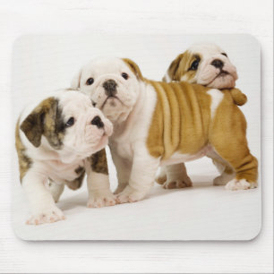 Love English Bulldog Puppy Dogs White Mousepad