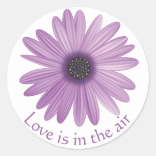 Love Floral Purple Lavender Daisy Flower Classic Round Sticker
